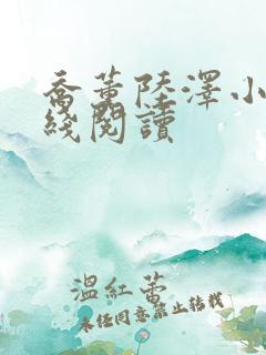 乔薰陆泽小说在线阅读