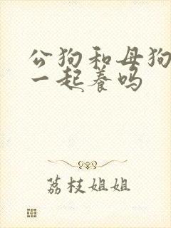 公狗和母狗可以一起养吗