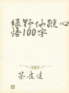 绿野仙踪心得感悟100字