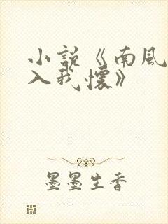 小说《南风也曾入我怀》