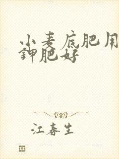 小麦底肥用什么钾肥好