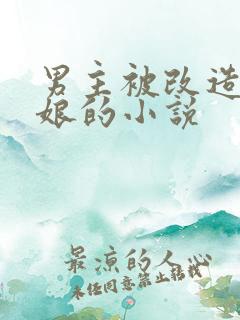 男主被改造成猫娘的小说