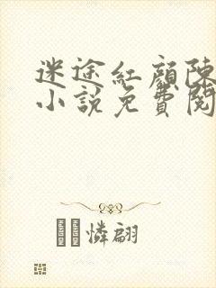 迷途红颜陈梦洁小说免费阅读