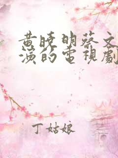 黄晓明蔡文静主演的电视剧