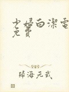 少妇白洁电子书免费