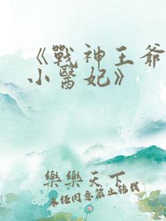 《战神王爷娇宠小医妃》