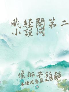 藏经阁第二版主小说网