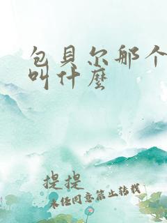 包贝尔那个电影叫什么