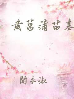 黄菖蒲苗基地 黄菖蒲苗基地