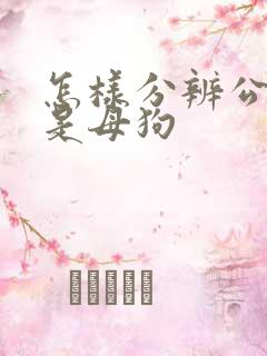 怎样分辨公狗还是母狗