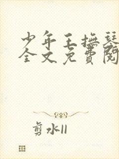 少年王抚琴的人全文免费阅读免费