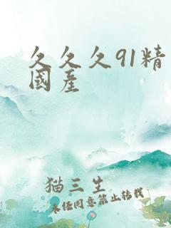 久久久91精品国产