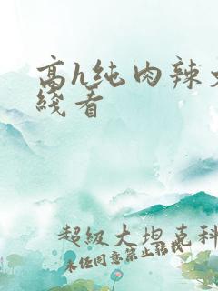 高h纯肉辣文在线看