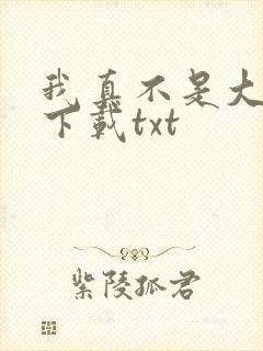 我真不是大明星下载txt