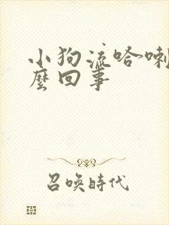 小狗流哈喇子怎么回事