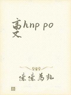 高hnp po文