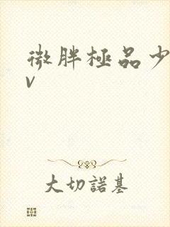 微胖极品少妇av