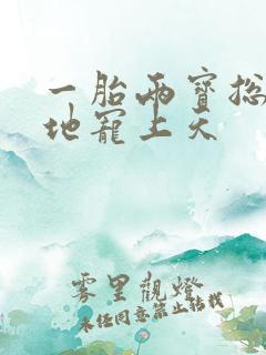 一胎两宝总裁爹地宠上天