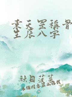 袁天罡称骨算命生辰八字