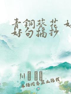 青铜葵花 好词好句摘抄