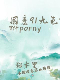 国产91九色蝌蚪porny