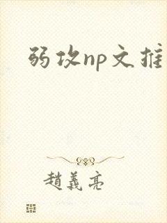 弱攻np文推荐