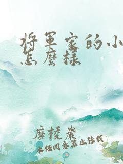 将军家的小娘子怎么样