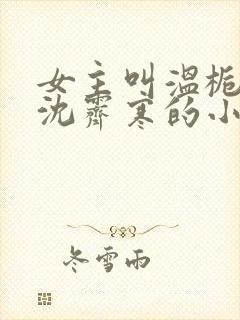 女主叫温栀妍和沈霁寒的小说