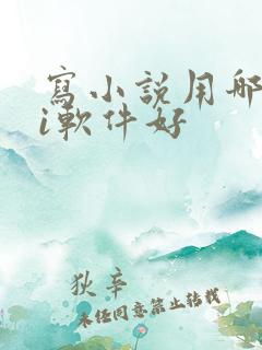写小说用哪个ai软件好