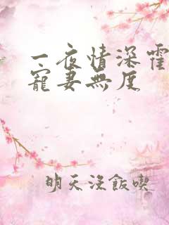 一夜情深霍先生宠妻无度