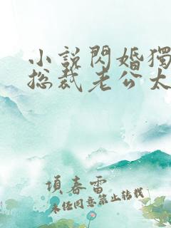 小说闪婚独宠:总裁老公太难缠