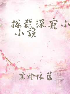 总裁深宠小甜妻 小说