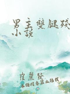 男主双腿残疾的小说