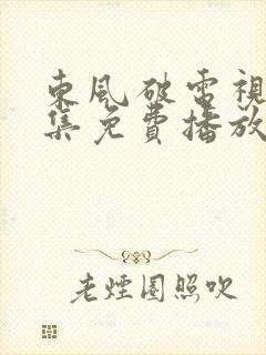 东风破电视剧全集免费播放