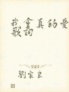 我会真的爱上你歌词