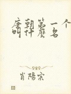 唐朝第一个皇上叫什么名