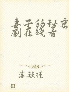 妻子的秘密电视剧在线看