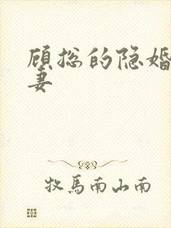 顾总的隐婚小罪妻