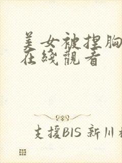 美女被捏胸视频在线观看