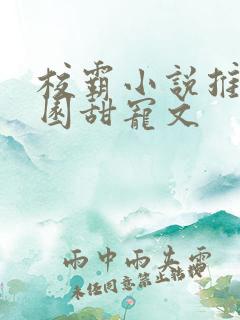 校霸小说推荐校园甜宠文