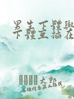 男生下体与女生下体互插在线视频
