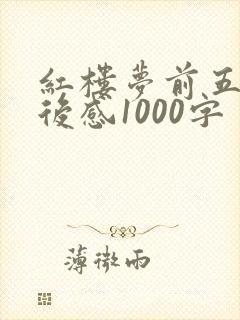 红楼梦前五回读后感1000字