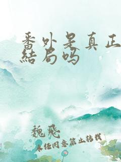 番外是真正的大结局吗