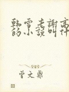 韩雪老谢高圆圆的小说叫什么