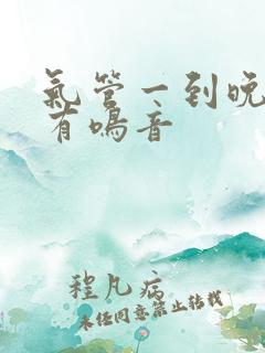 气管一到晚上就有鸣音
