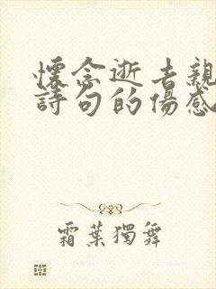 怀念逝去亲人的诗句的伤感句子
