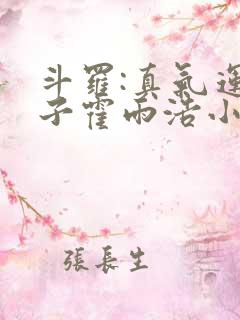 斗罗:真气运之子霍雨浩小说