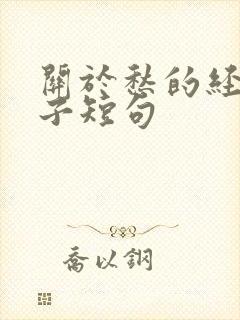 关于愁的经典句子短句