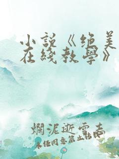 小说《绝美白莲在线教学》