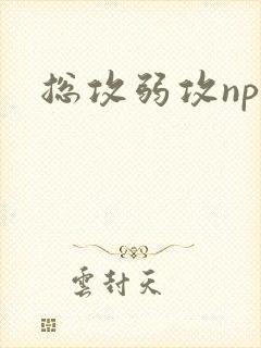 总攻弱攻np